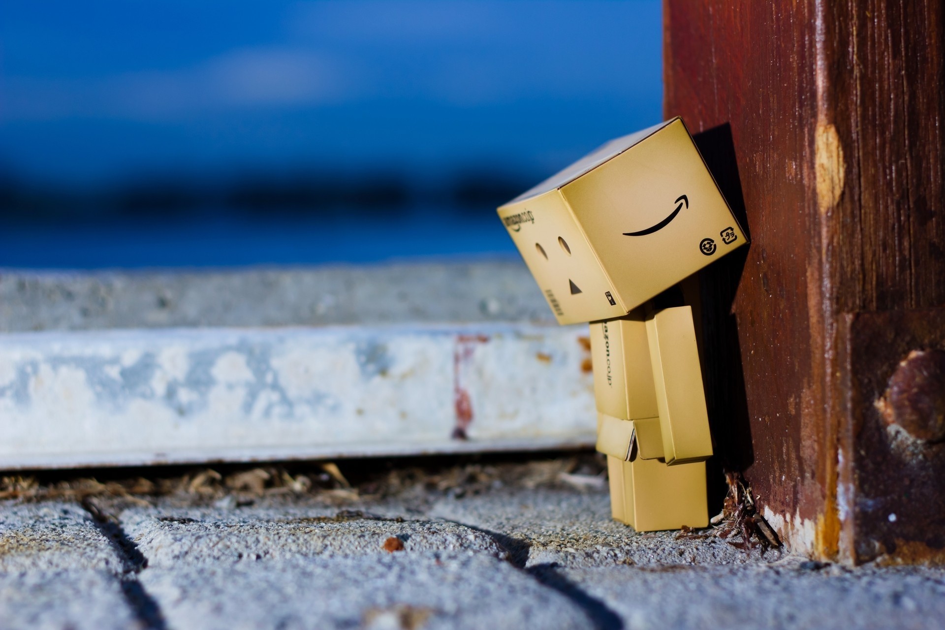 danbo triste juguetes