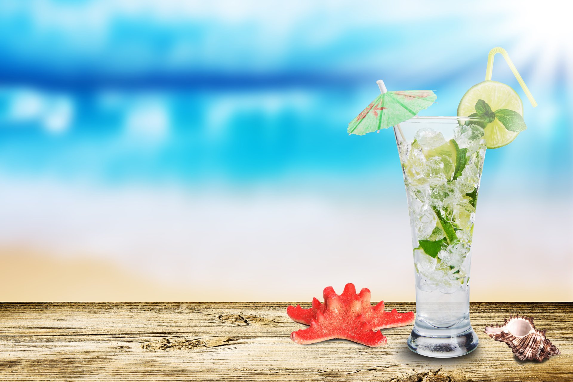 mojito schale glas seestern