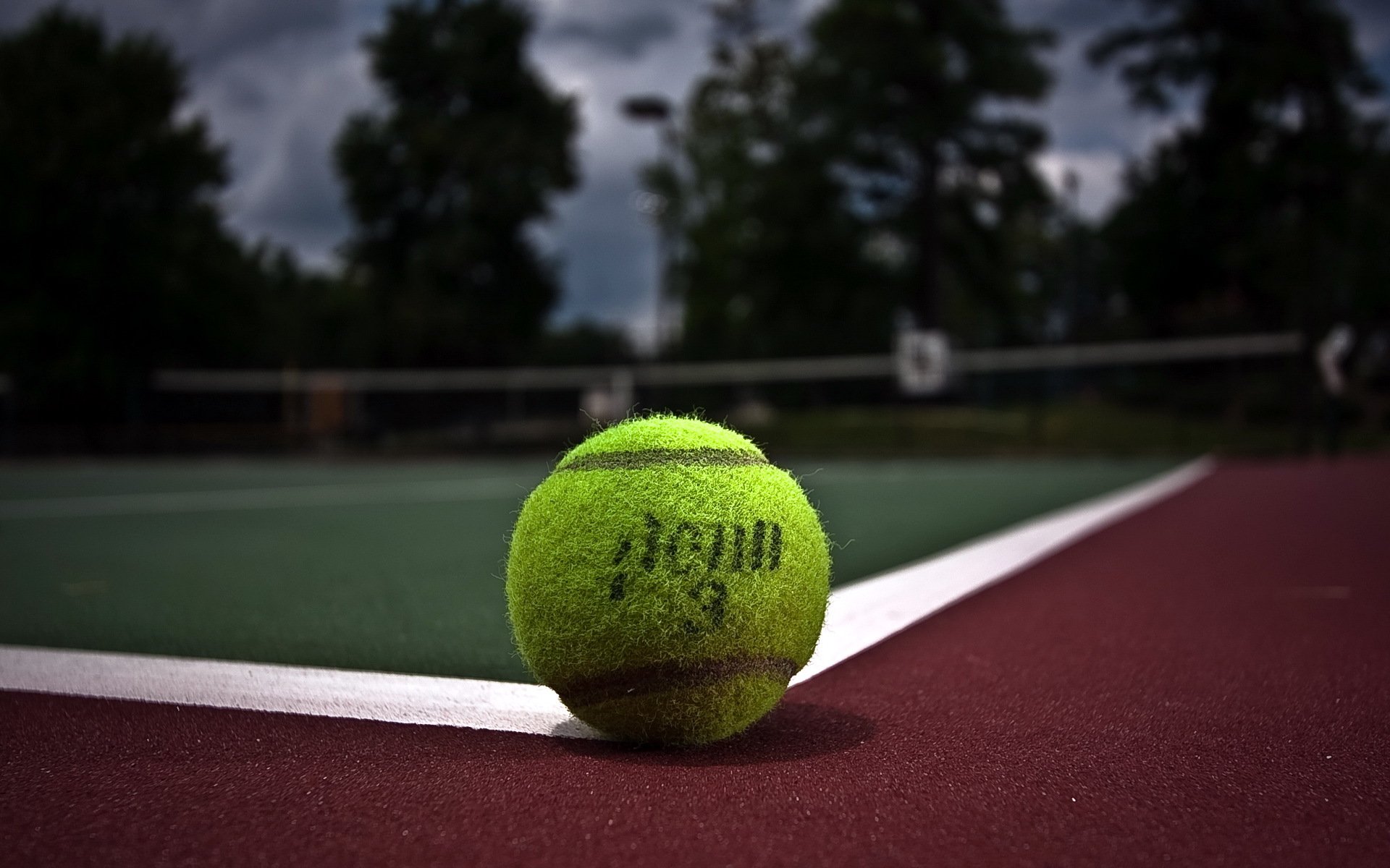 tenis pelota