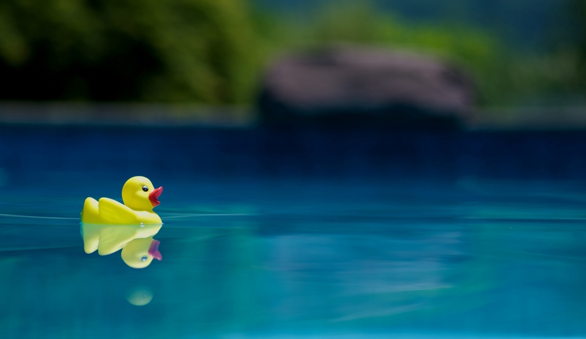 agua piscina natación paleta amarillo juguetes ninja