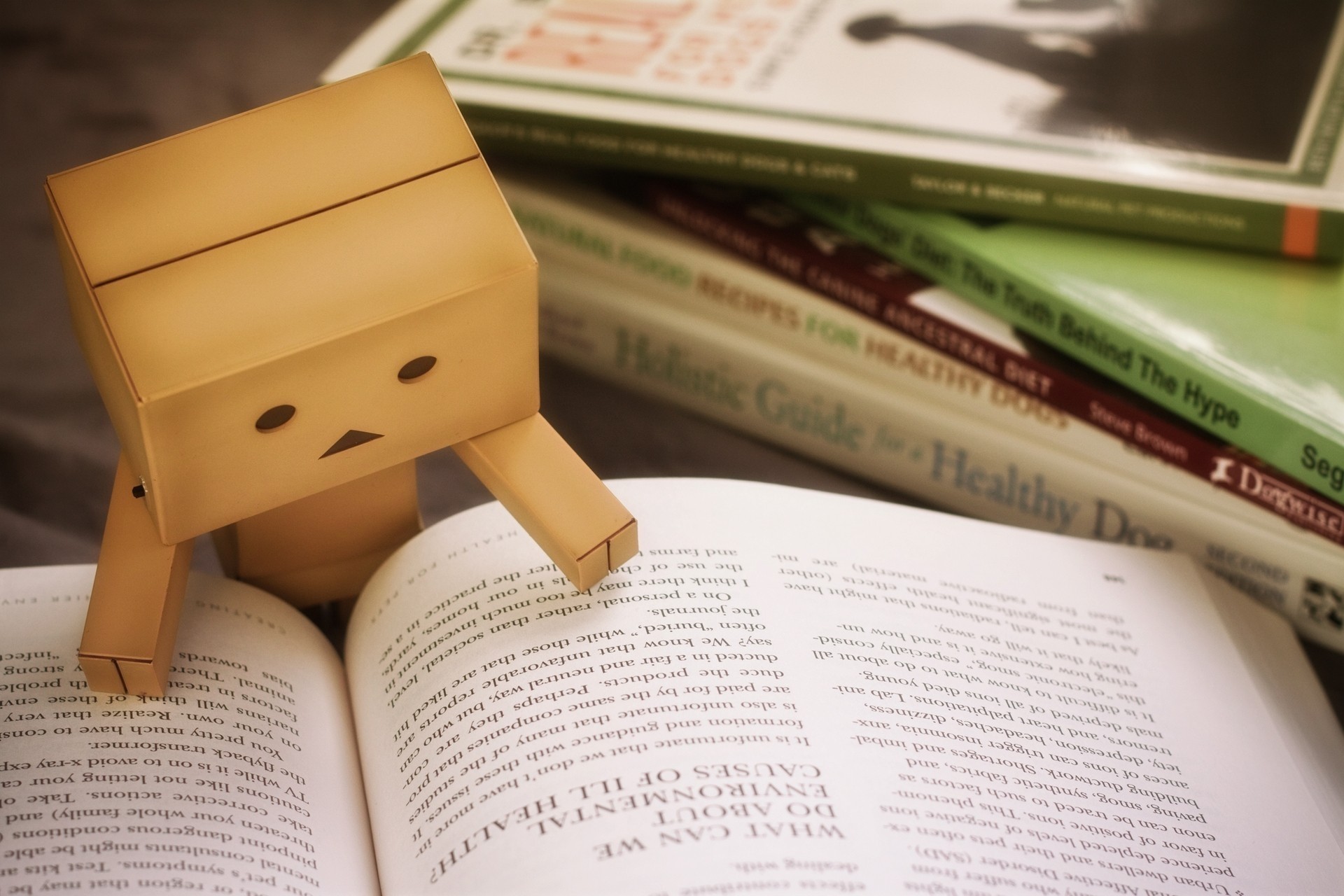 buch studie danbo kartonmann spielzeug lesen