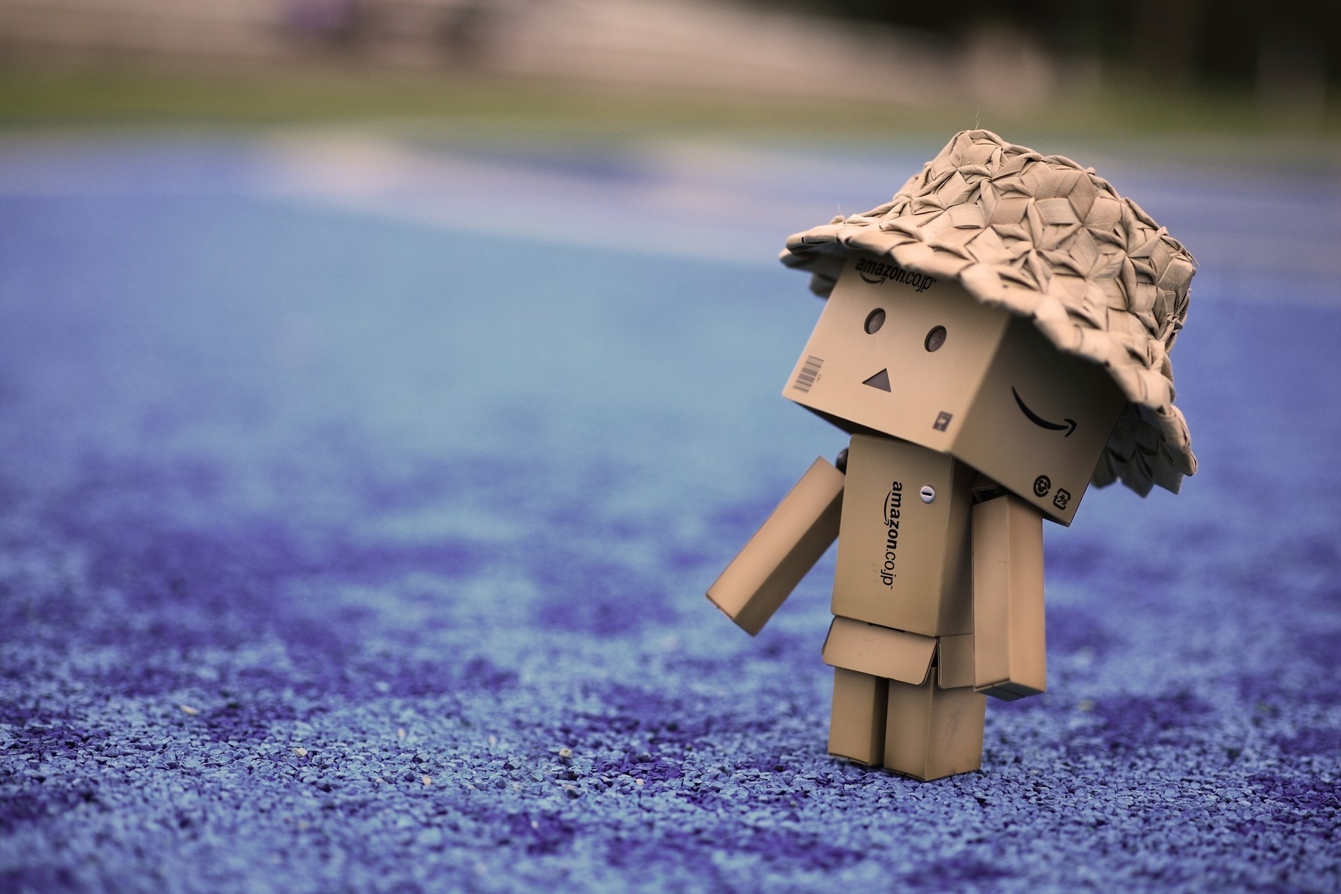 hat danbo straw toy