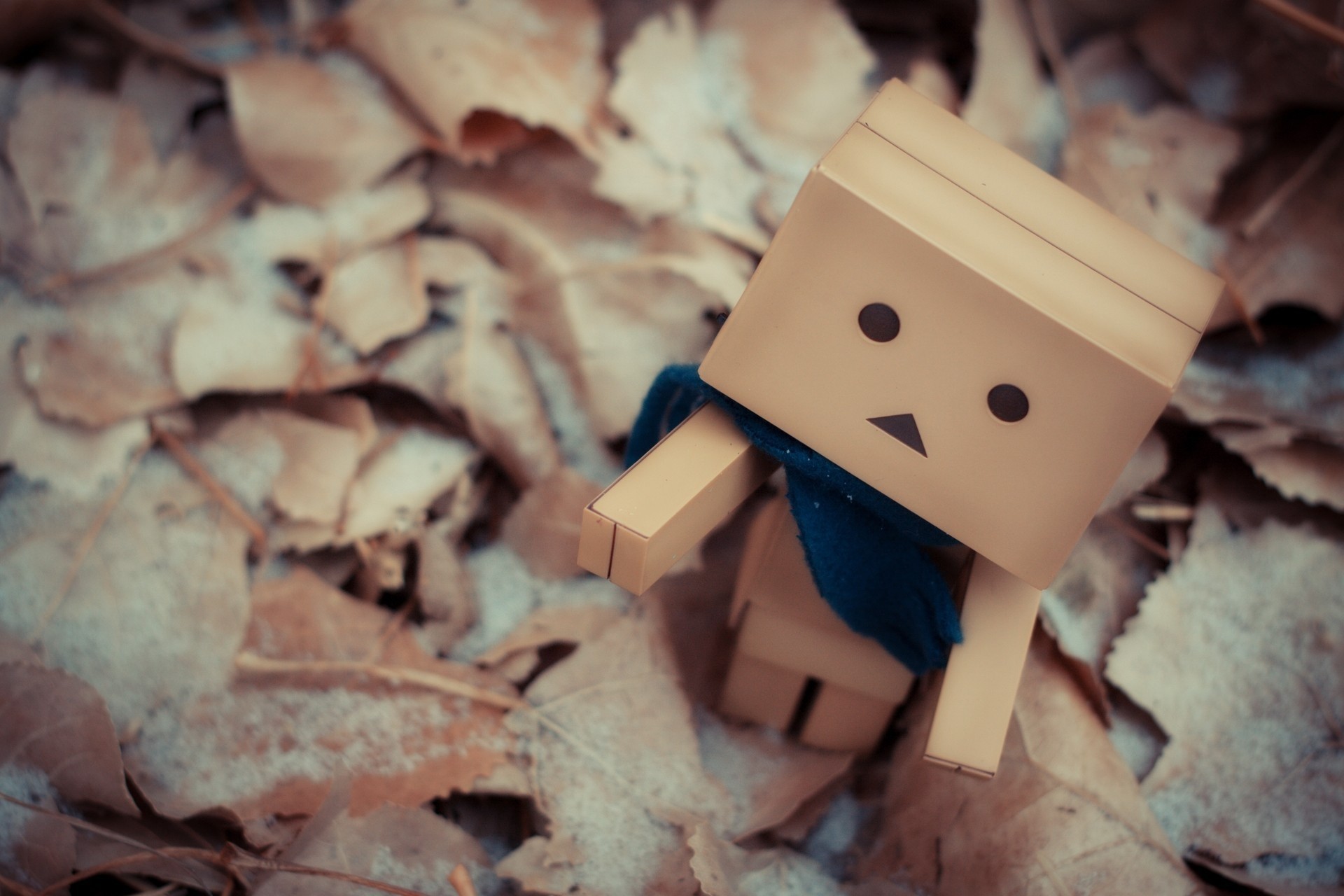 игрушки коробка danbo лист