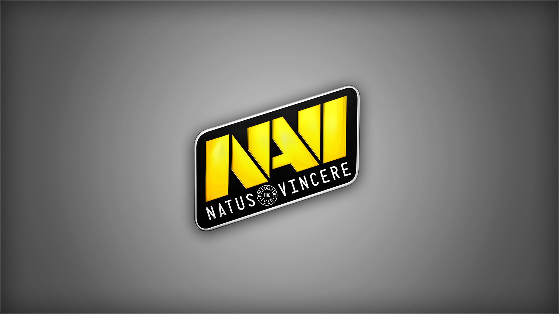 natus vincere na vi counter-strike dota 2 champions team