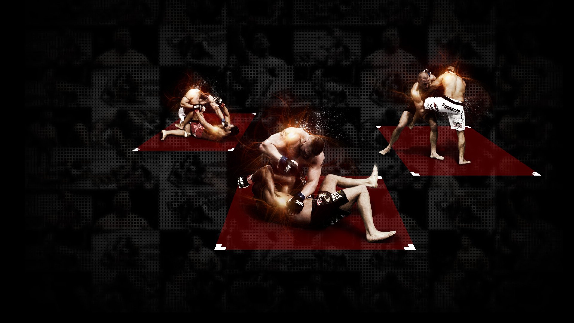 ufc combattants arts martiaux mixtes champions frank mir georges st-pierre brock lesnar