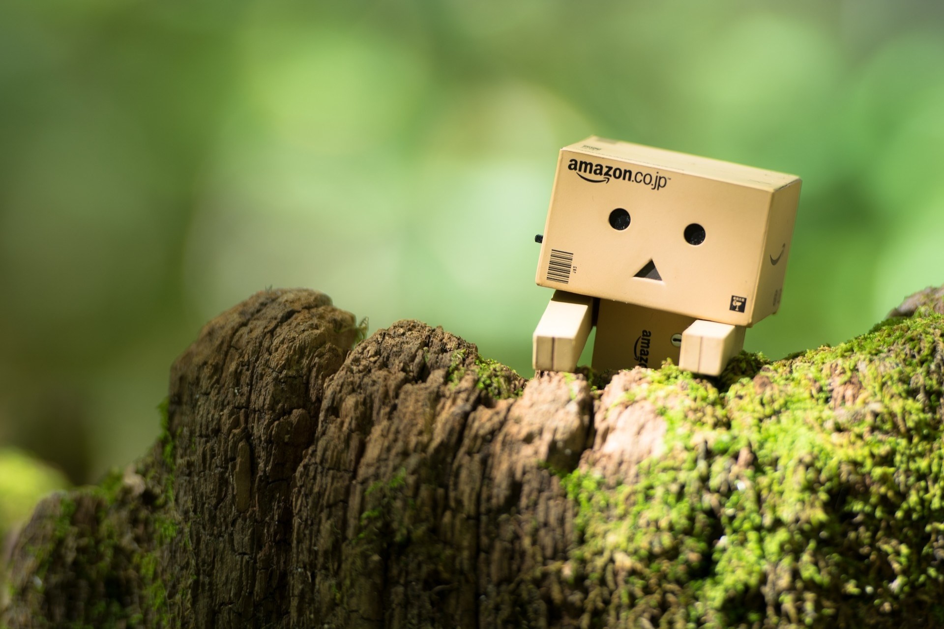 homme en carton danbo jouets