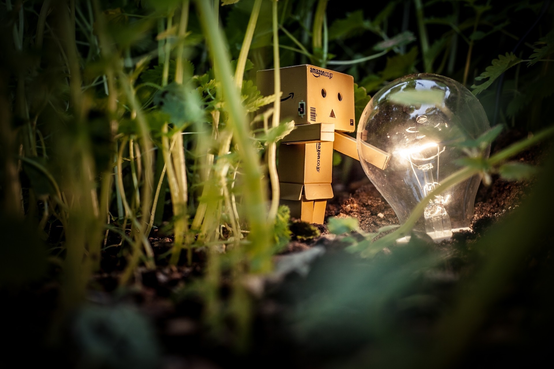 lampa danbo