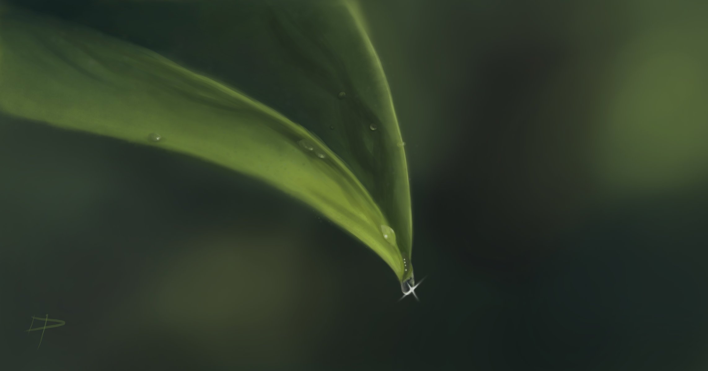 danepioli arte gotas hoja rocío macro