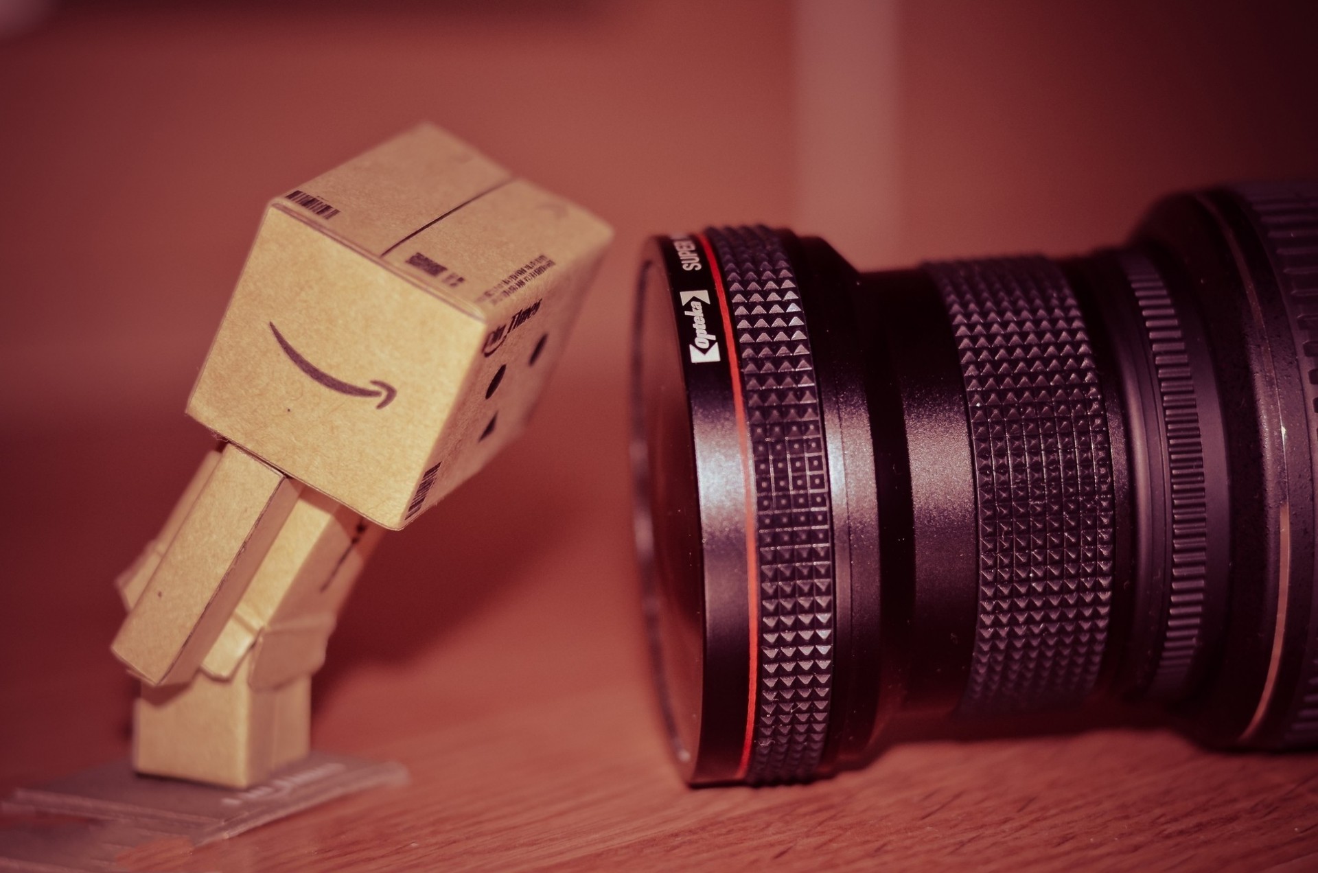 curiosity toys the camera danbo