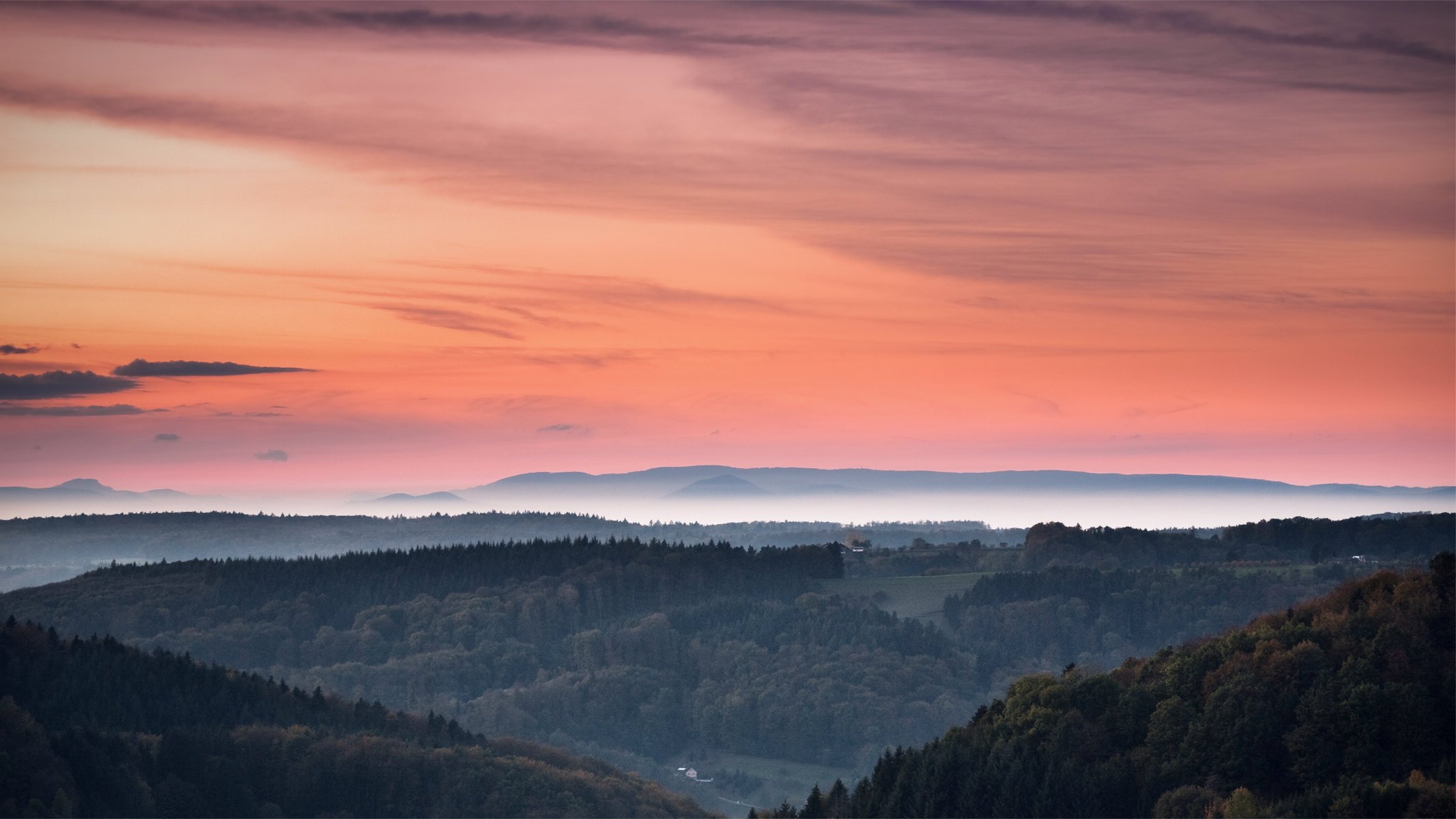 soir forêt arbres ciel coucher de soleil orange collines brume