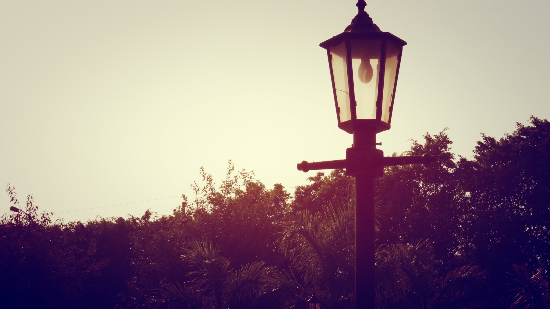 tree lantern lamp sunset sun