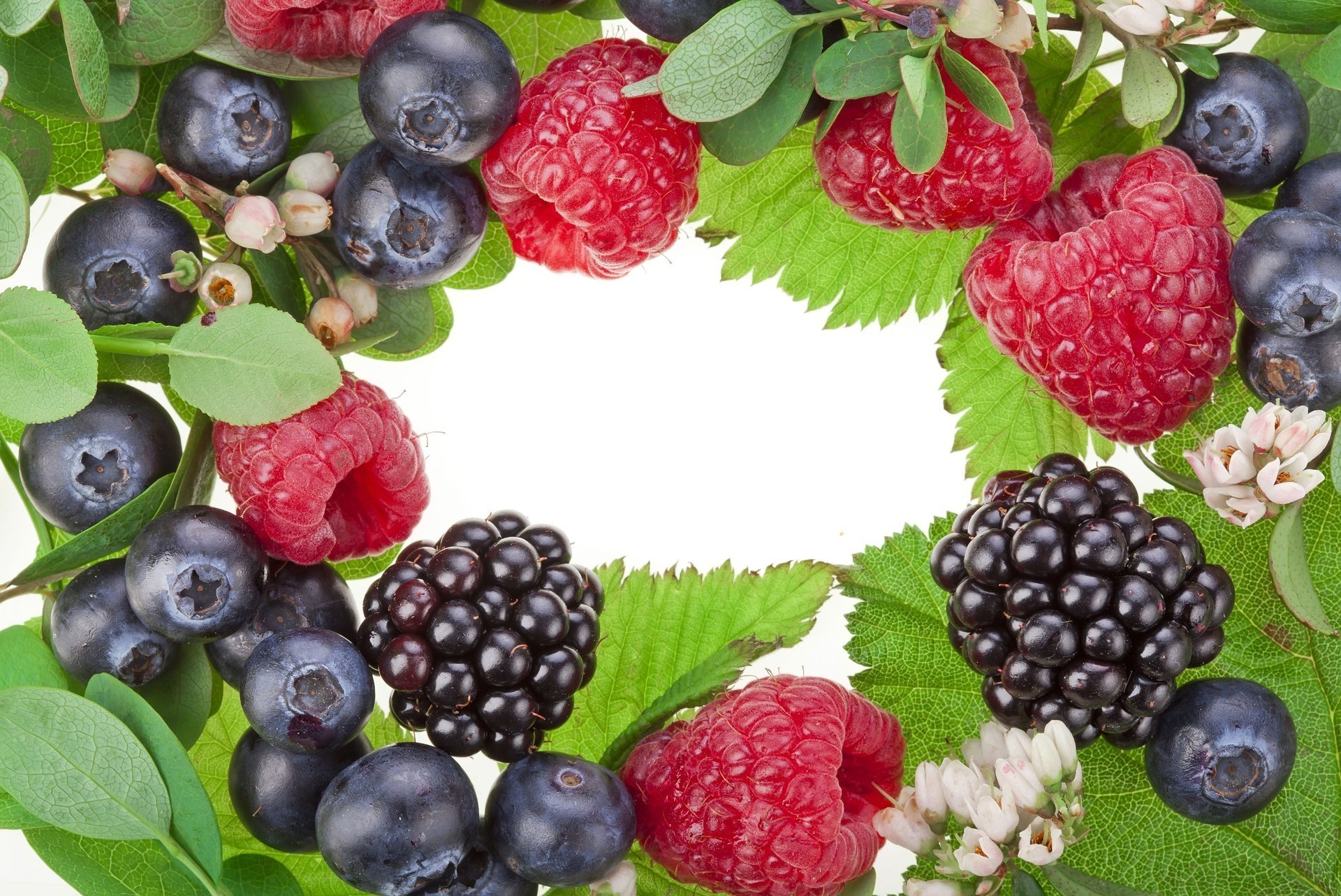 fleurs mûres feuilles framboises baies myrtilles