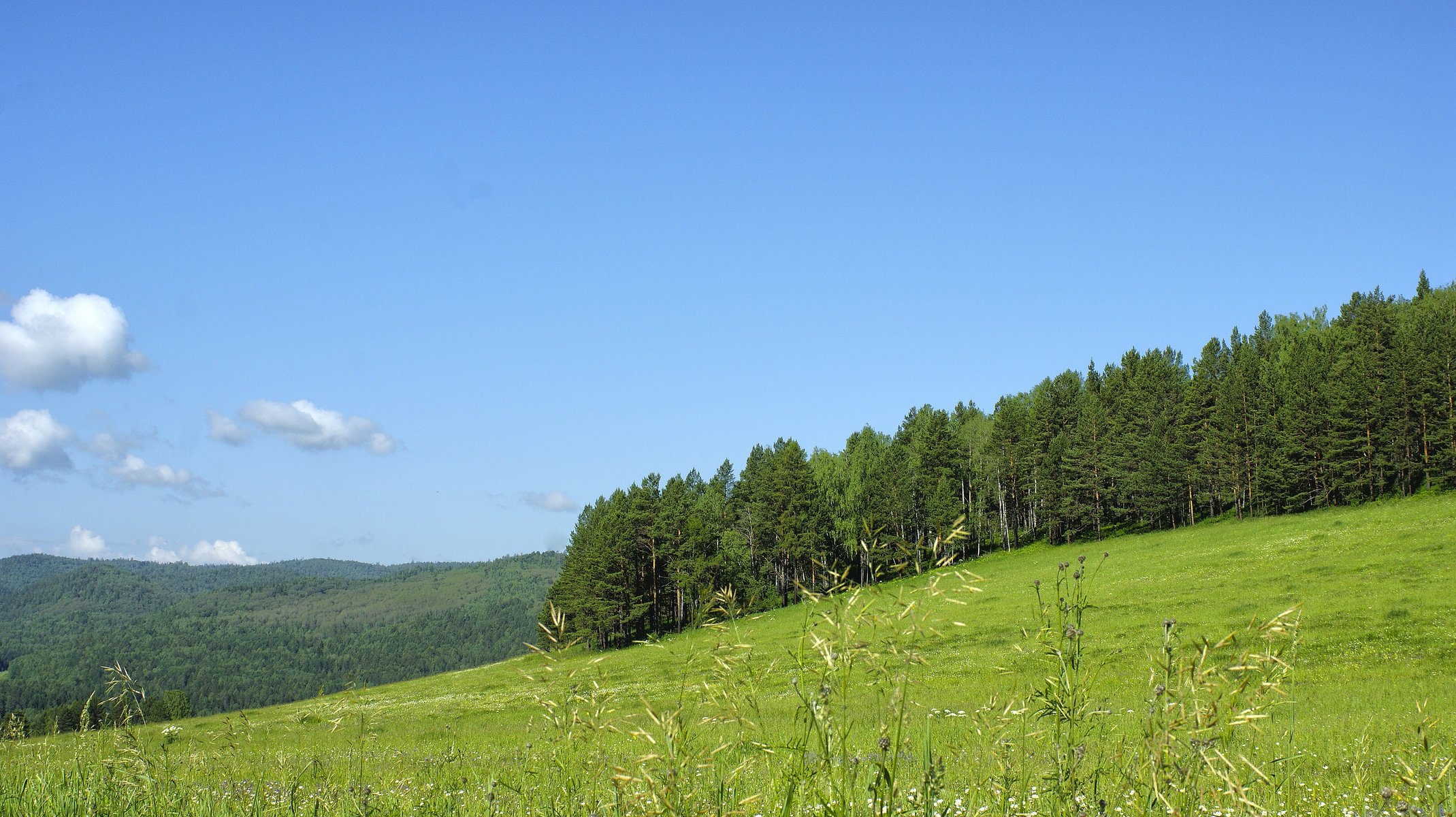 natura montagne fiume