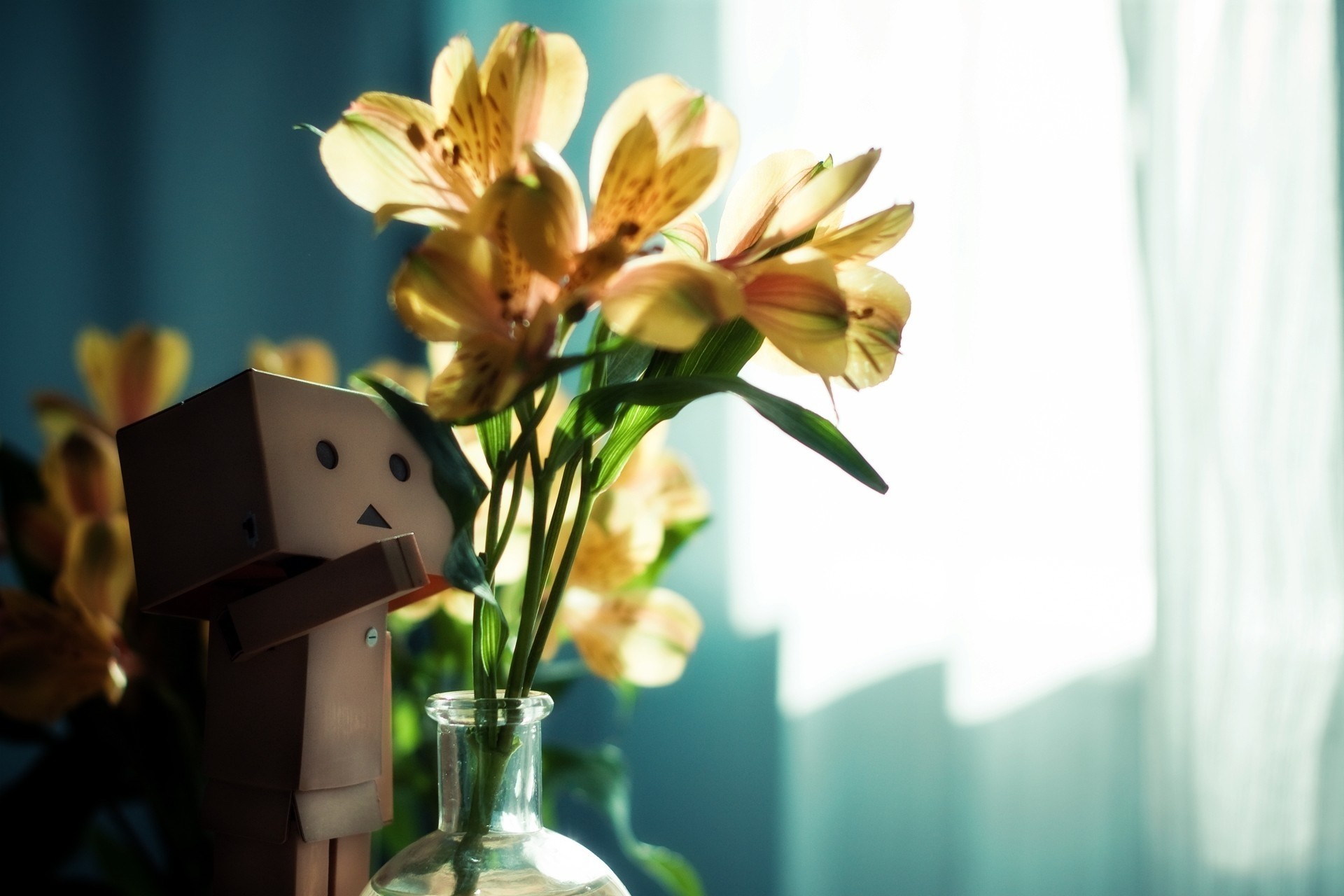 flower toys danbo cardboard man