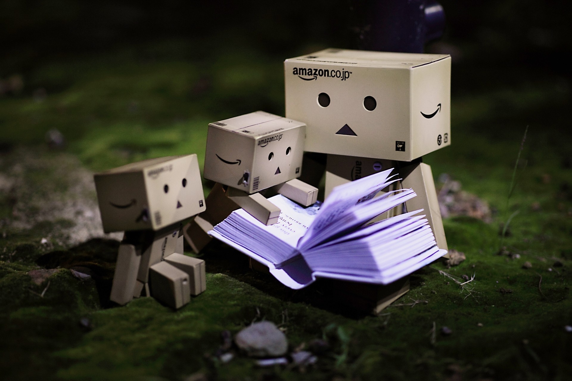 danbo book nature