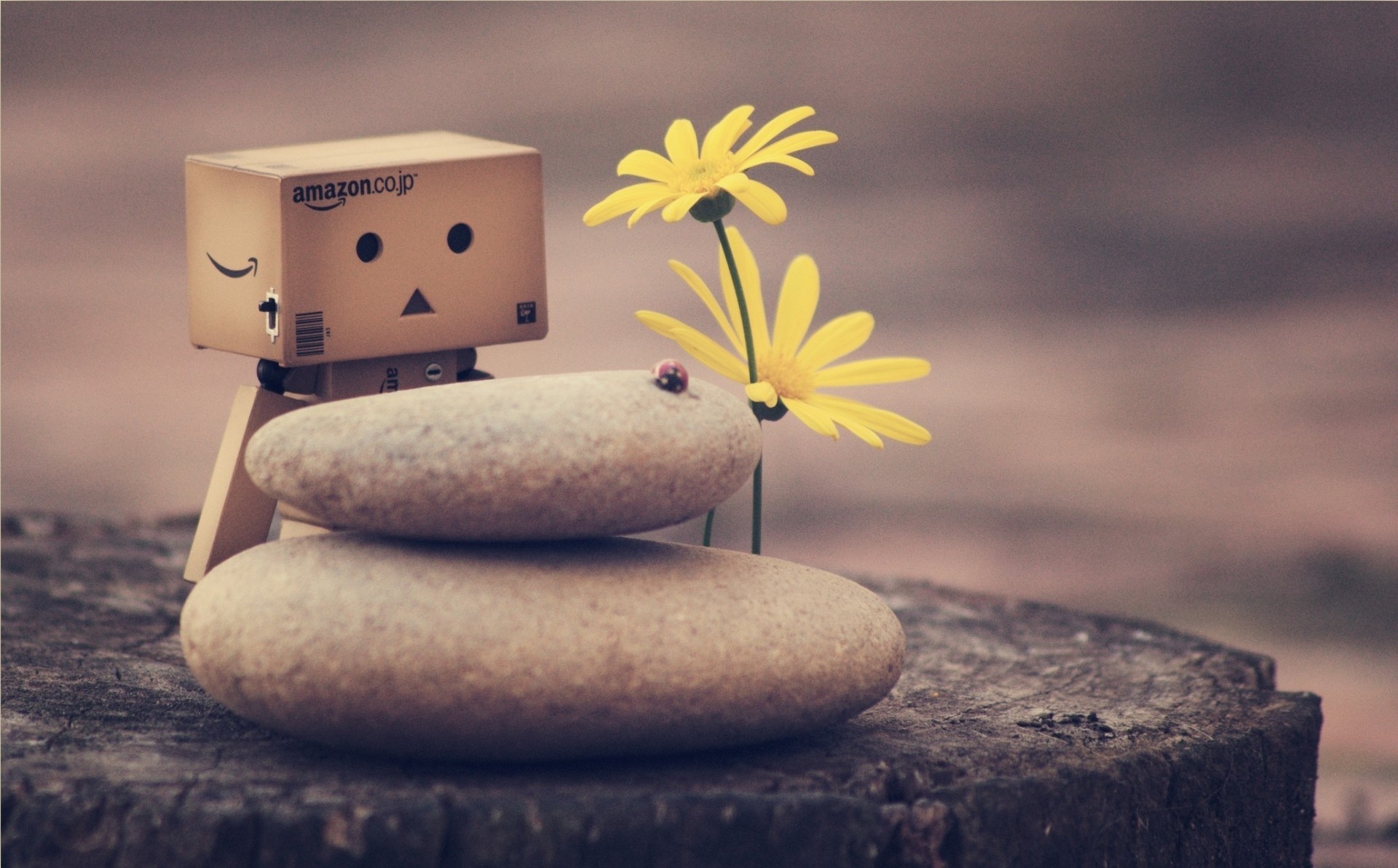 pring danbo toy