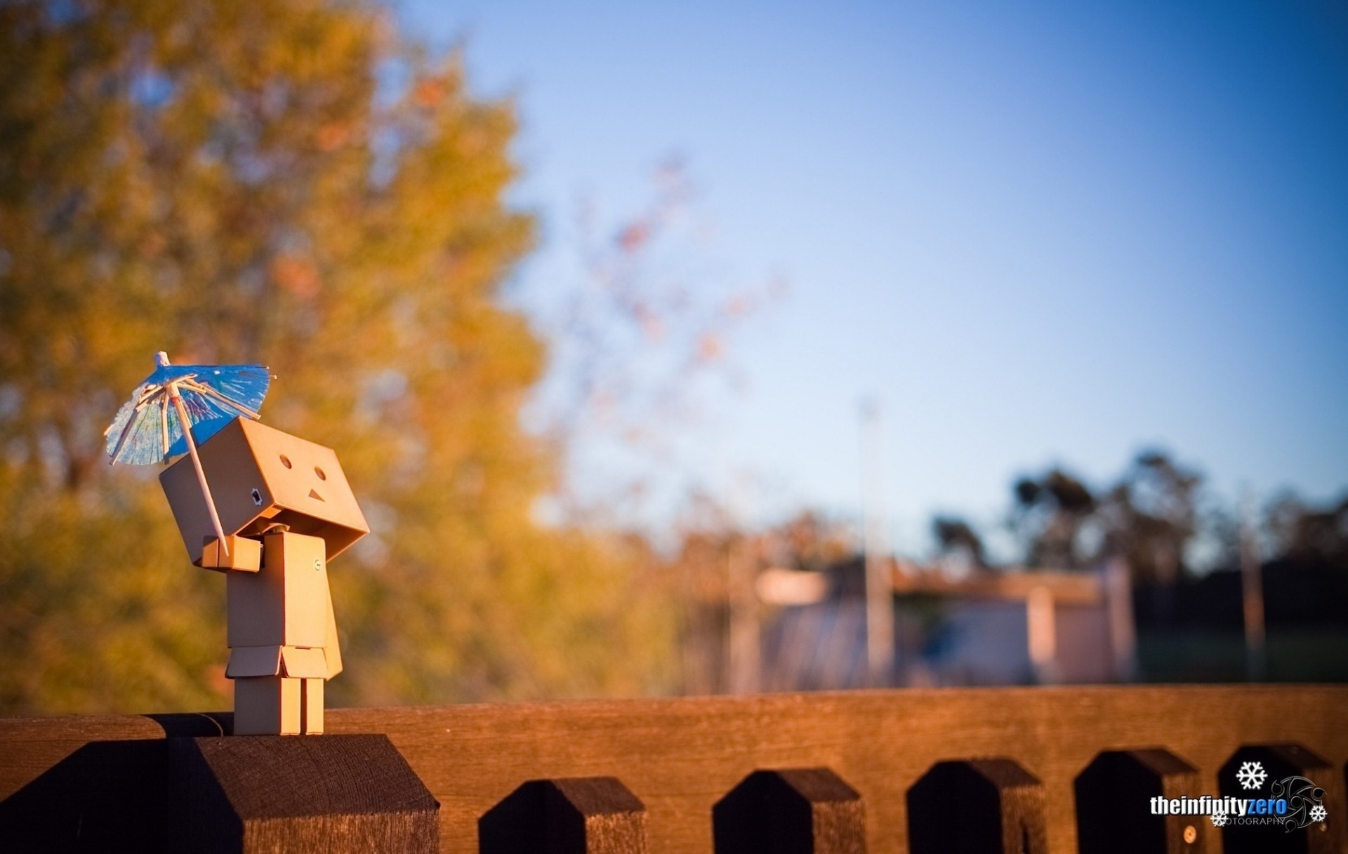 karton mann danbo spielzeug