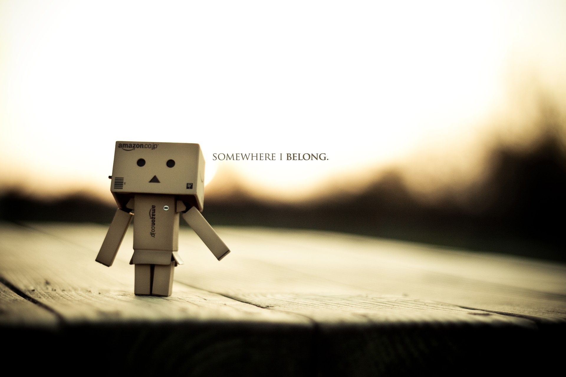 danbo der pappmann