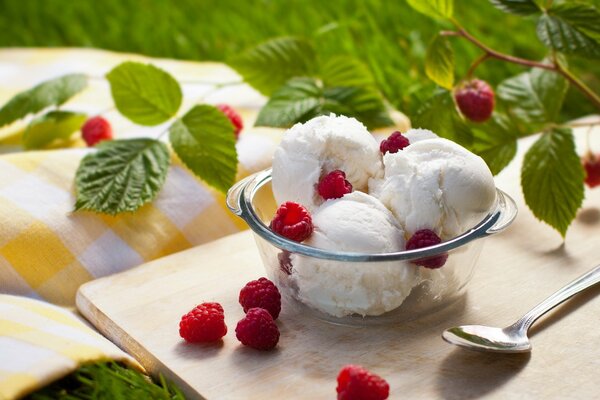 Raspberry delicacy on a hot day. Ice cream in a beautiful cream bowl. Bright colors of summer