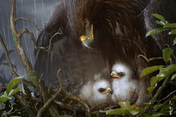 El águila protege a los polluelos de la lluvia