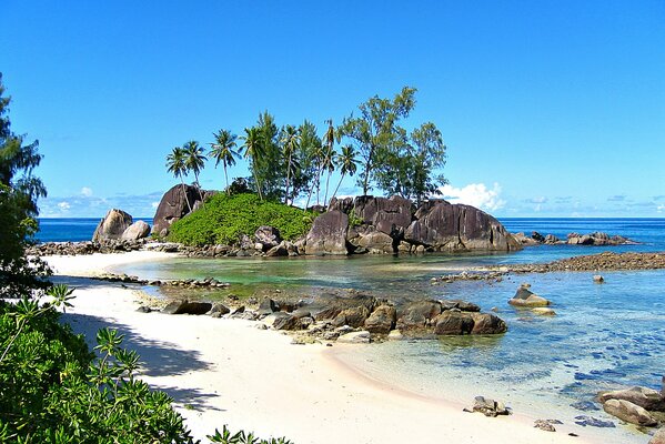 An exotic beach on the ocean. A wonderful vacation in the Seychelles