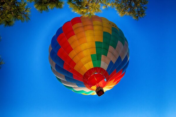 Balloon in the sky