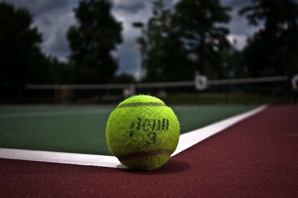 Pelota de tenis en la Cancha