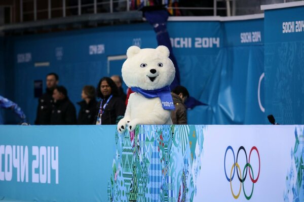 Olympic Games in Sochi 2014