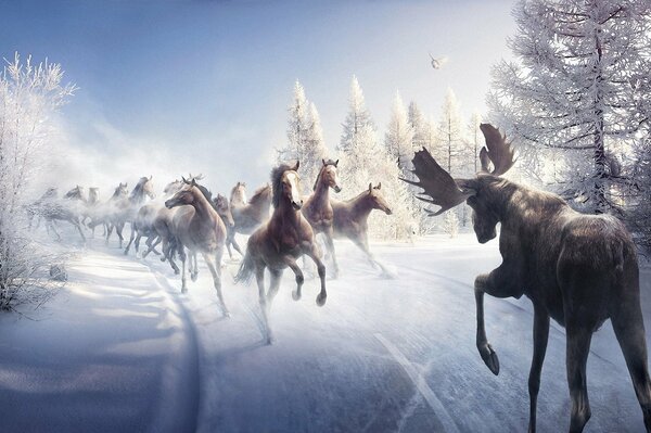 Caballos corriendo por la nieve encontrando ciervos
