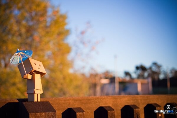 Danbo cardboard man takes shelter from the sun