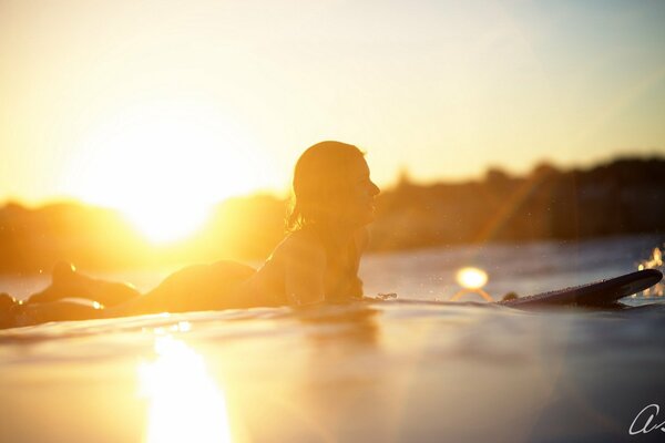 Surfista en medio del sol Poniente