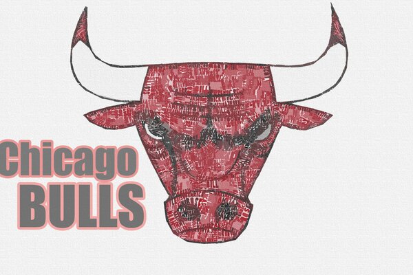 Basketball-Logo der Nba Chicago Bulls