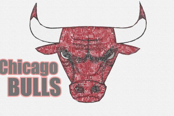 Logo de basket-ball NBA Chicago Bulls