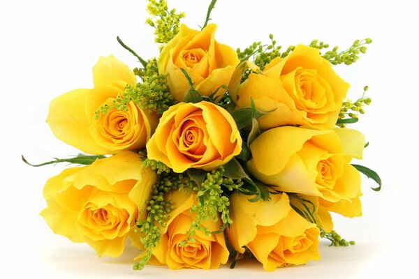 Beautiful bouquet of yellow roses and ornamental plants