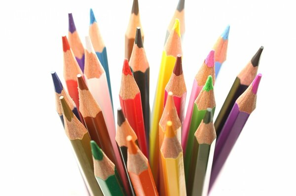 Ensemble de crayons multicolores sur une photo blanche