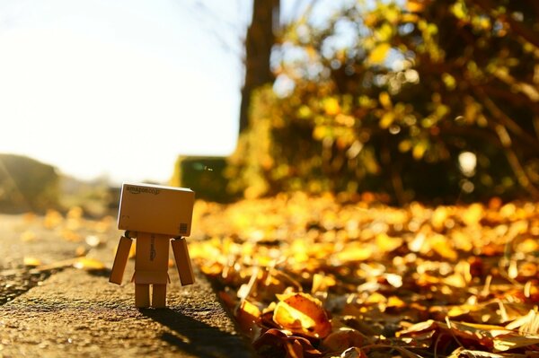 Qui Anna homme sur fond de feuilles mortes