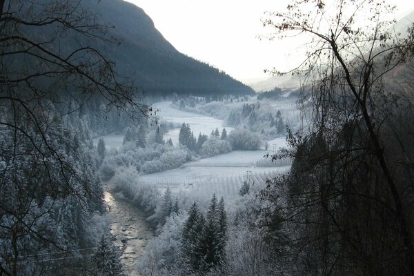 Snow-covered fields, trees and mountains