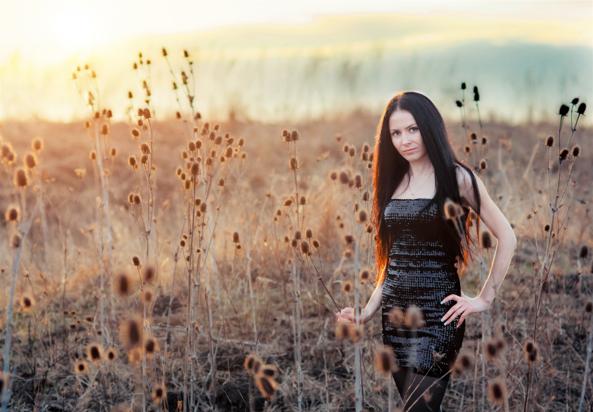 brunette view dress field grass horizon