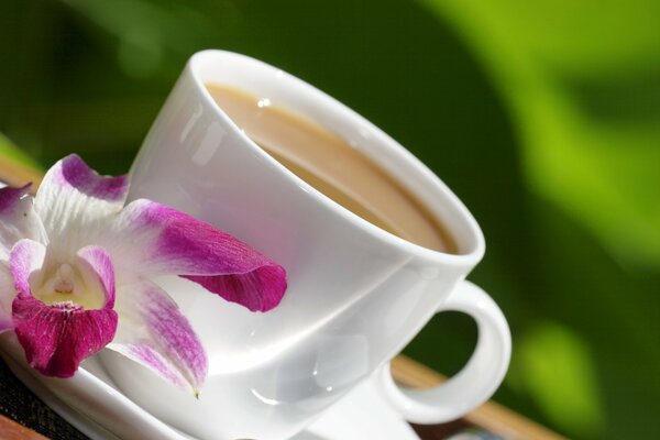 Photo d une tasse de café blanc avec une fleur d orchidée
