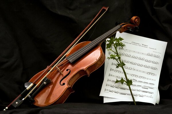 Geige, Bogen, Notenblätter und Stachelzweig