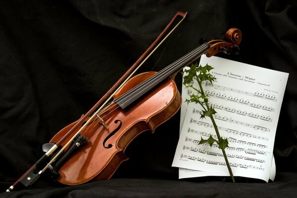 Violín, arco, hojas de música y ramita Espinosa