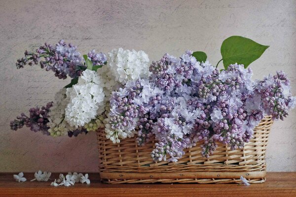 Panier avec lilas blanc et lilas