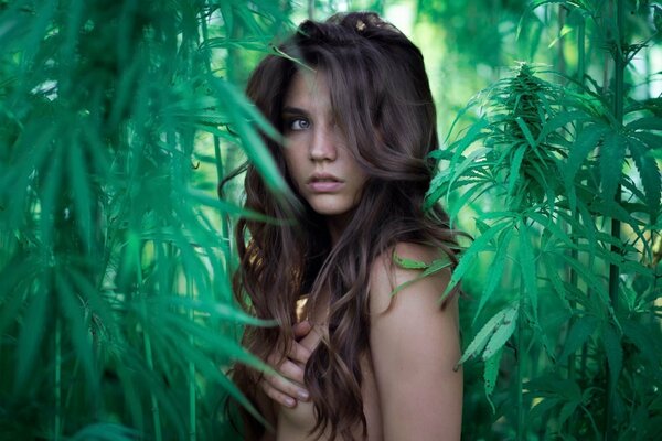 Naked girl in the bushes of greenery