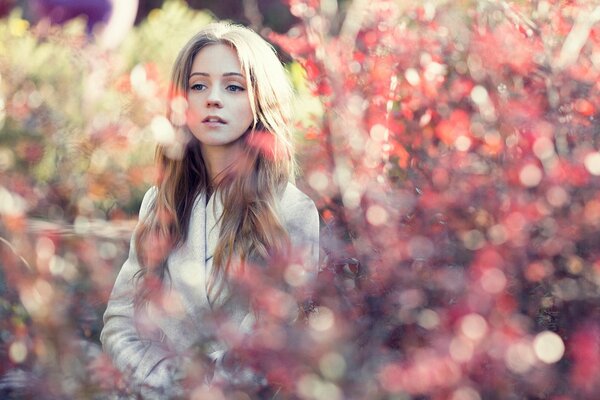 Fille sur fond de feuilles en automne