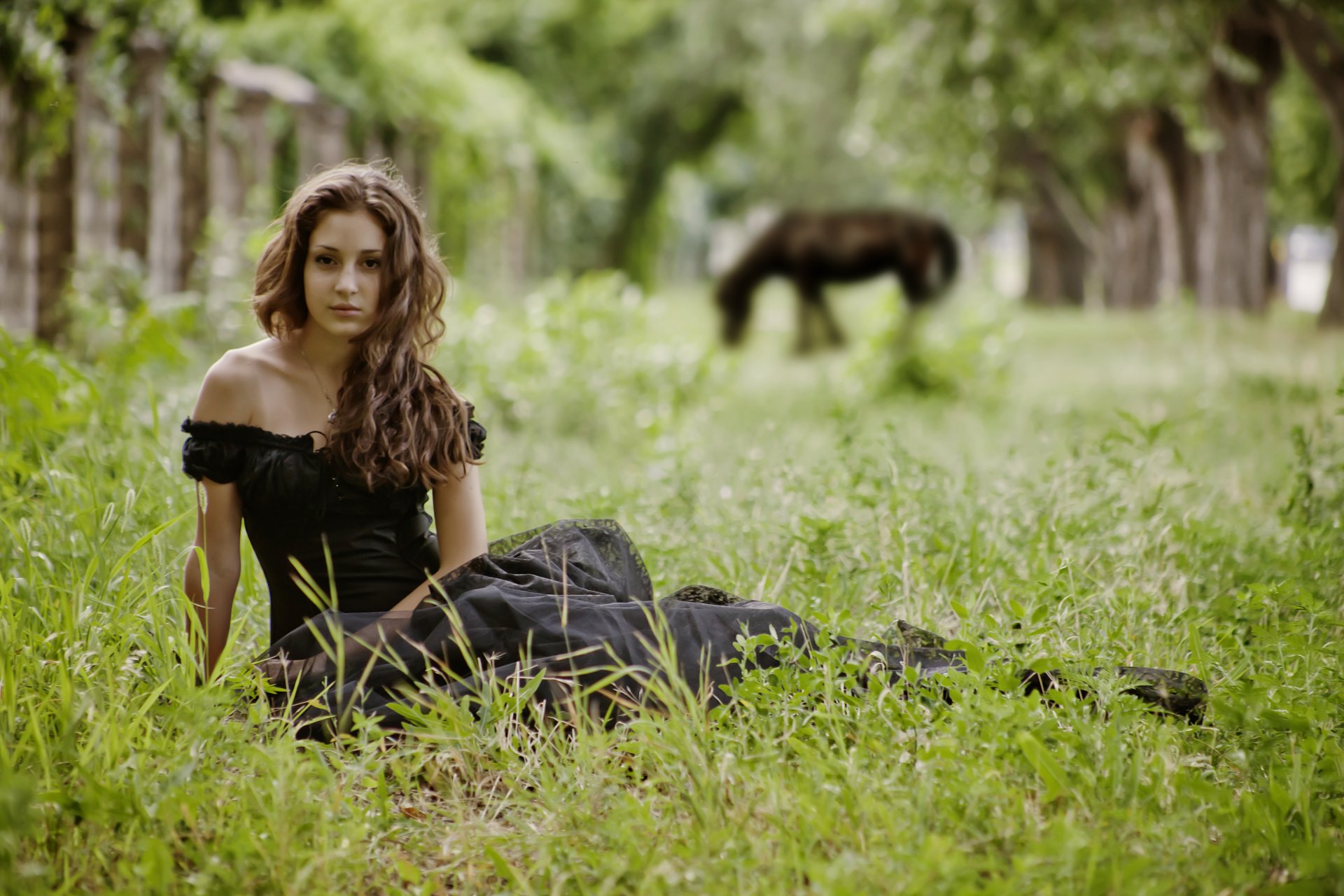 dziewczyna brunetka siedzi pozowanie natura trawa drzewa koń w czarnej sukience