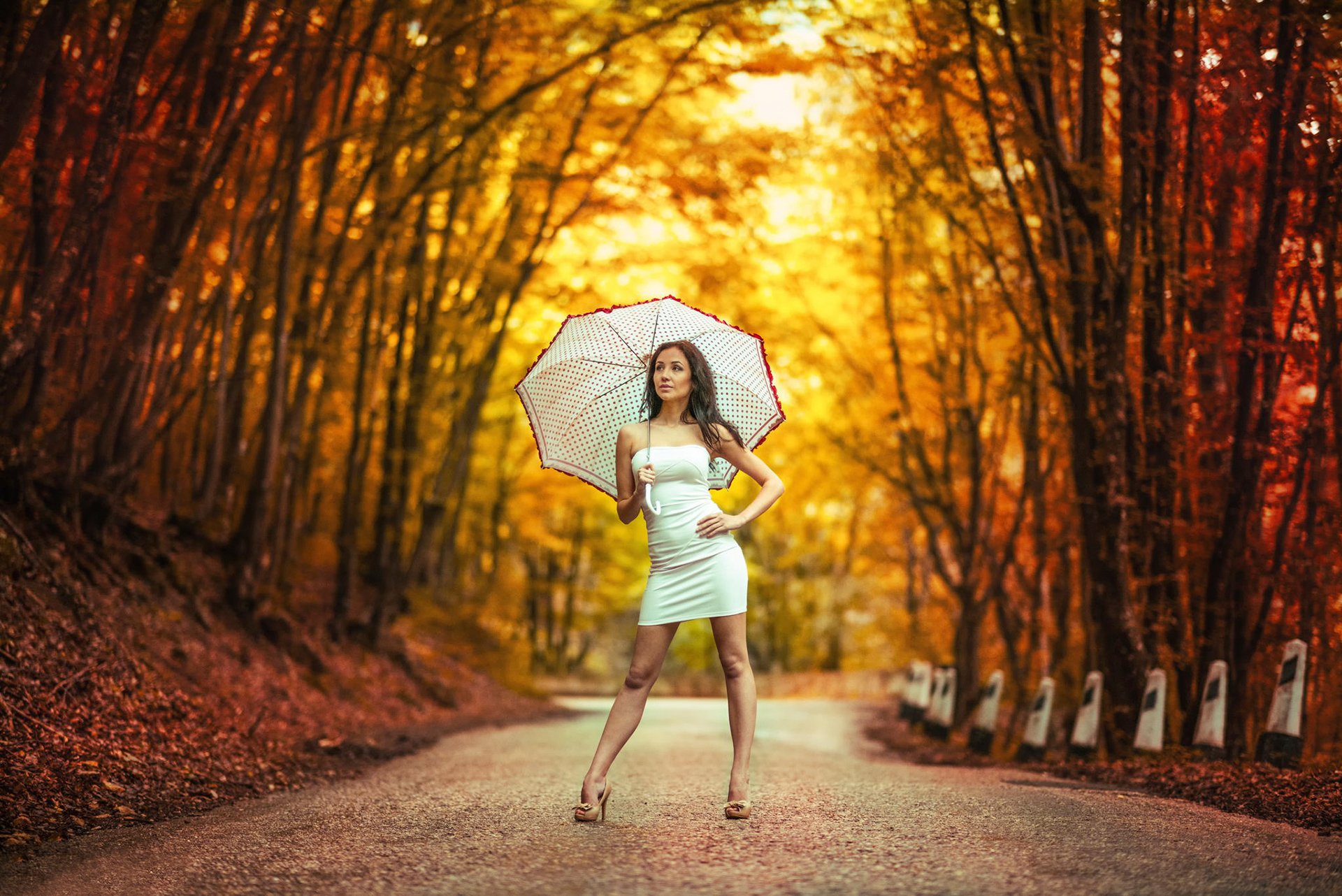 strada in autunno ragazza vestito ombrello bokeh
