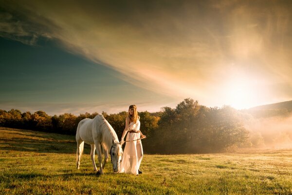 Ragazza con cavallo bianco nel campo