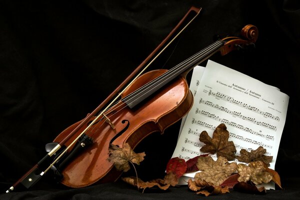 Violon, Archets et notes dans les feuilles d automne