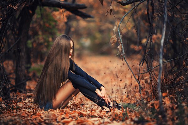 Morena sentada en el bosque de otoño