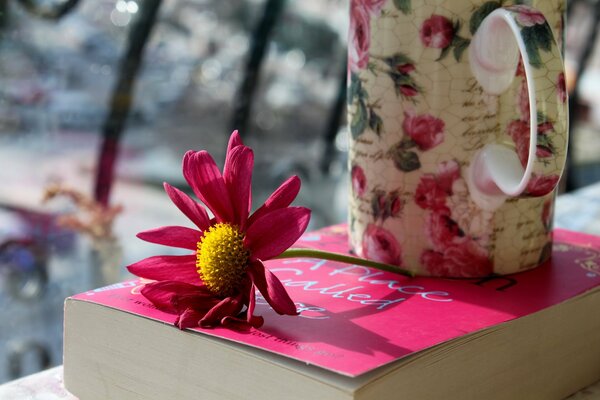 The composition of a pink flower, a book and a mug of tea